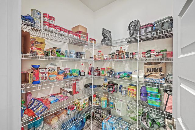 2318 Chisol Plow Street, Mount Pleasant, SC 29466