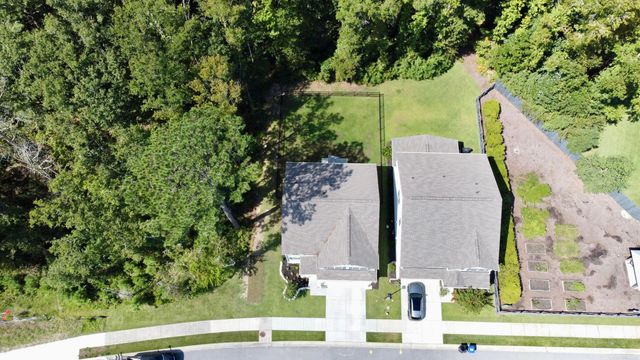 2318 Chisol Plow Street, Mount Pleasant, SC 29466