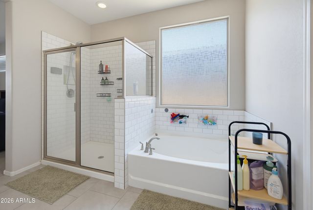 19341 W ANNIKA Drive, Litchfield Park, AZ 85340