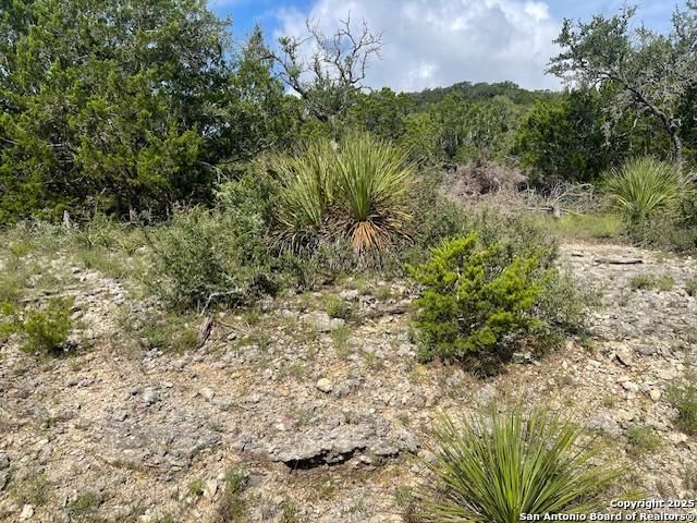 280 Geronimo Creek Rd, Helotes, TX 78023
