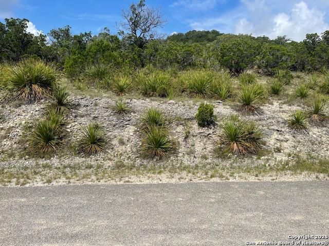 280 Geronimo Creek Rd, Helotes, TX 78023