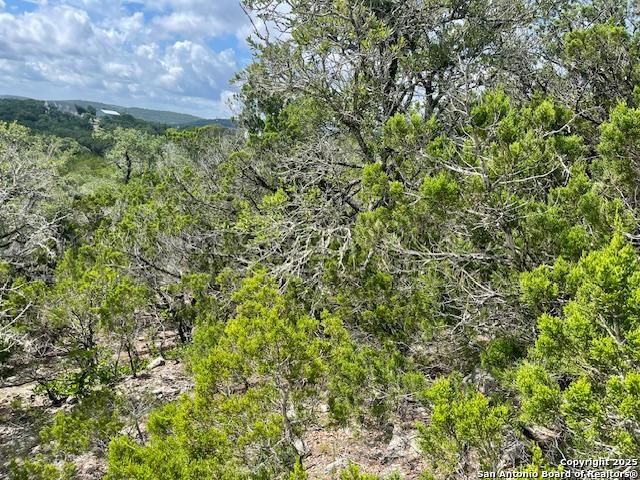 280 Geronimo Creek Rd, Helotes, TX 78023