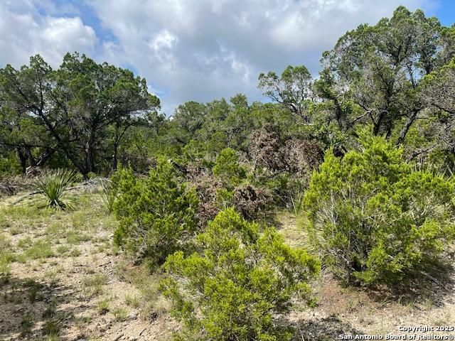 280 Geronimo Creek Rd, Helotes, TX 78023