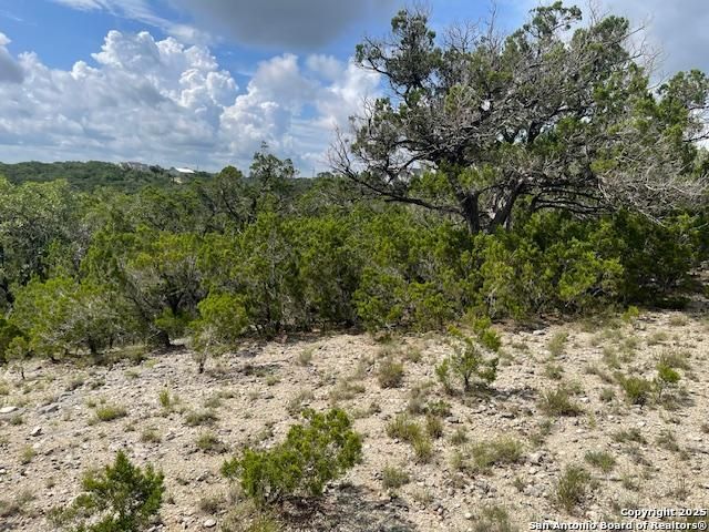 280 Geronimo Creek Rd, Helotes, TX 78023