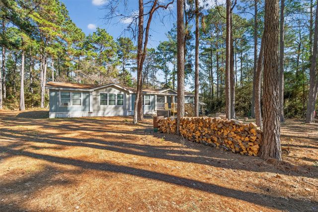 24800 Shady Oaks Boulevard, Montgomery, TX 77316