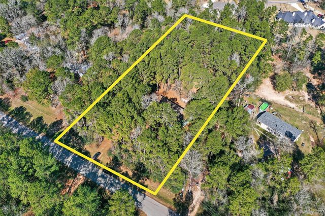 24800 Shady Oaks Boulevard, Montgomery, TX 77316