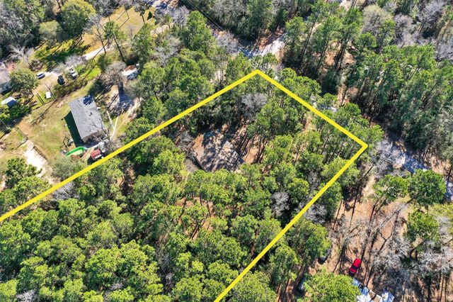 24800 Shady Oaks Boulevard, Montgomery, TX 77316