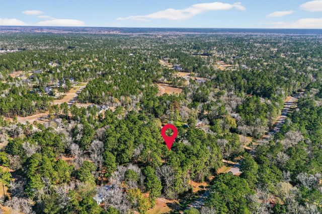 24800 Shady Oaks Boulevard, Montgomery, TX 77316