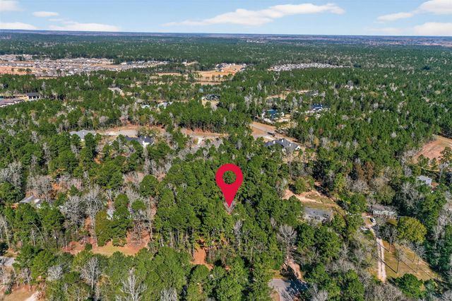 24800 Shady Oaks Boulevard, Montgomery, TX 77316