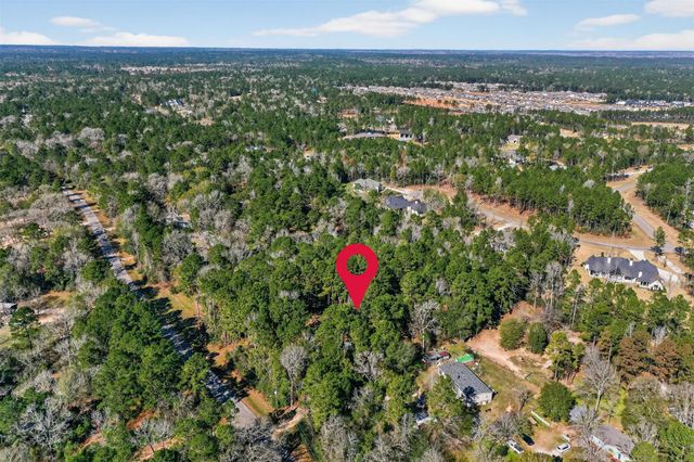 24800 Shady Oaks Boulevard, Montgomery, TX 77316