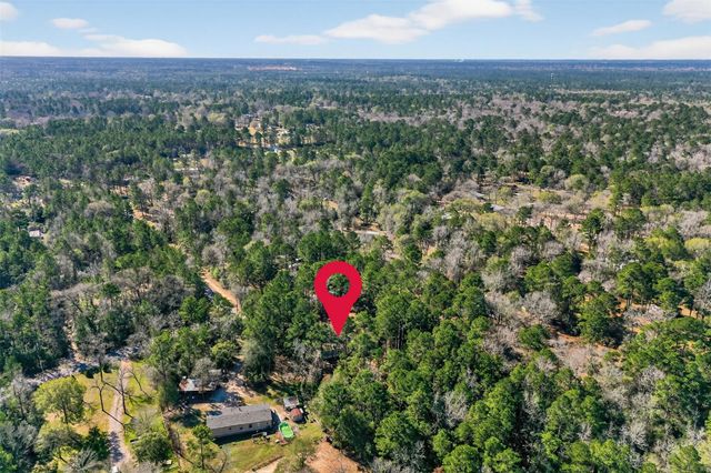 24800 Shady Oaks Boulevard, Montgomery, TX 77316