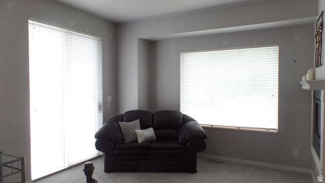 496 E SPRUCE GLEN RD, Murray, UT 84107