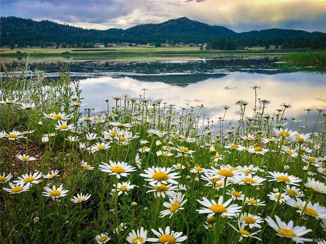 671 Midland Ct, Lake George, CO 80827