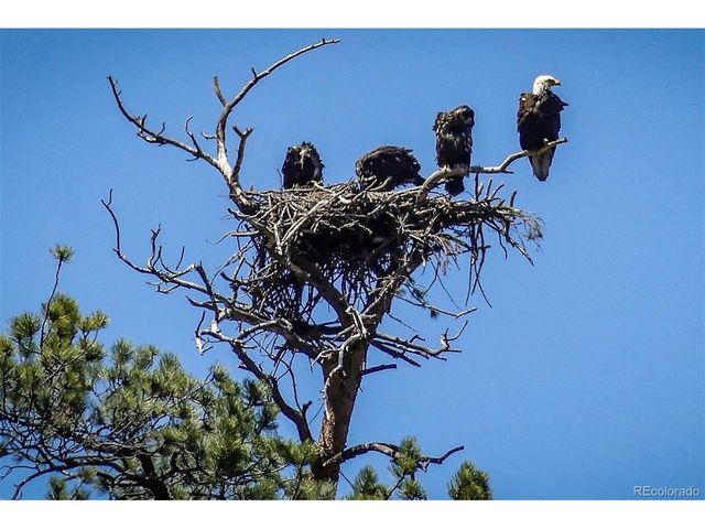 671 Midland Ct, Lake George, CO 80827