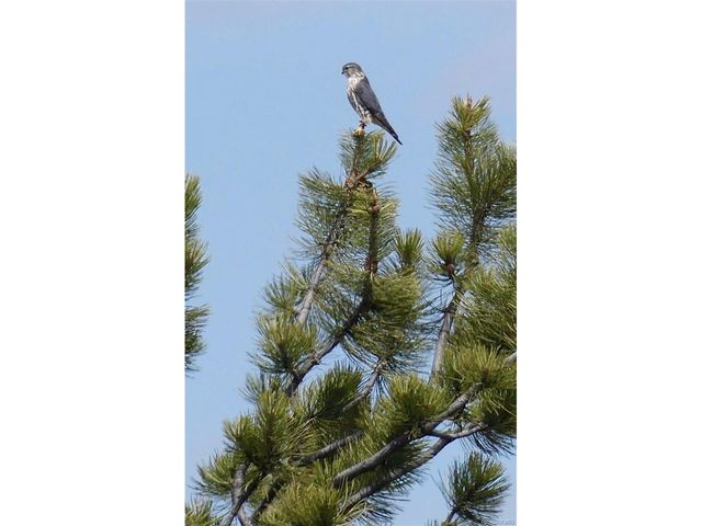 671 Midland Ct, Lake George, CO 80827