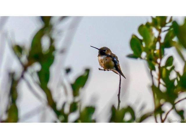 671 Midland Ct, Lake George, CO 80827