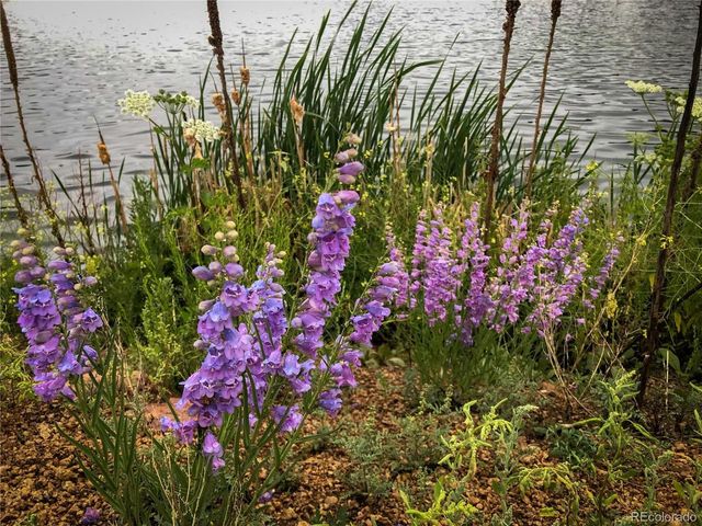 671 Midland Ct, Lake George, CO 80827