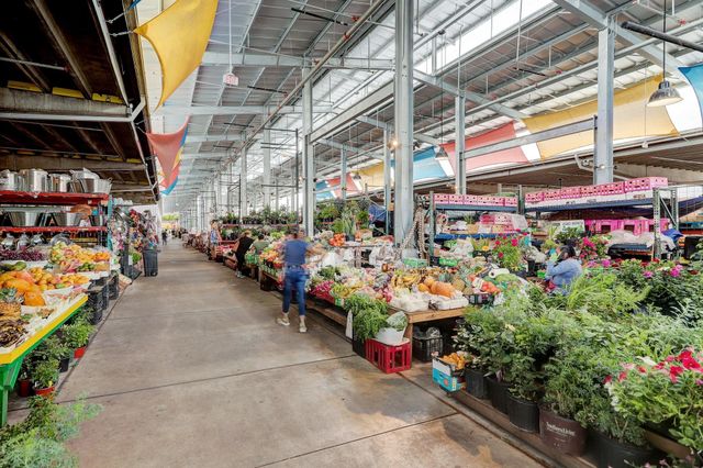 1833 Tabor Street, Houston, TX 77009