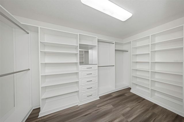 11509 PALMETTO SANDS COURT, Tampa, FL 33626