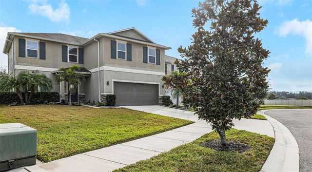 11509 PALMETTO SANDS COURT, Tampa, FL 33626