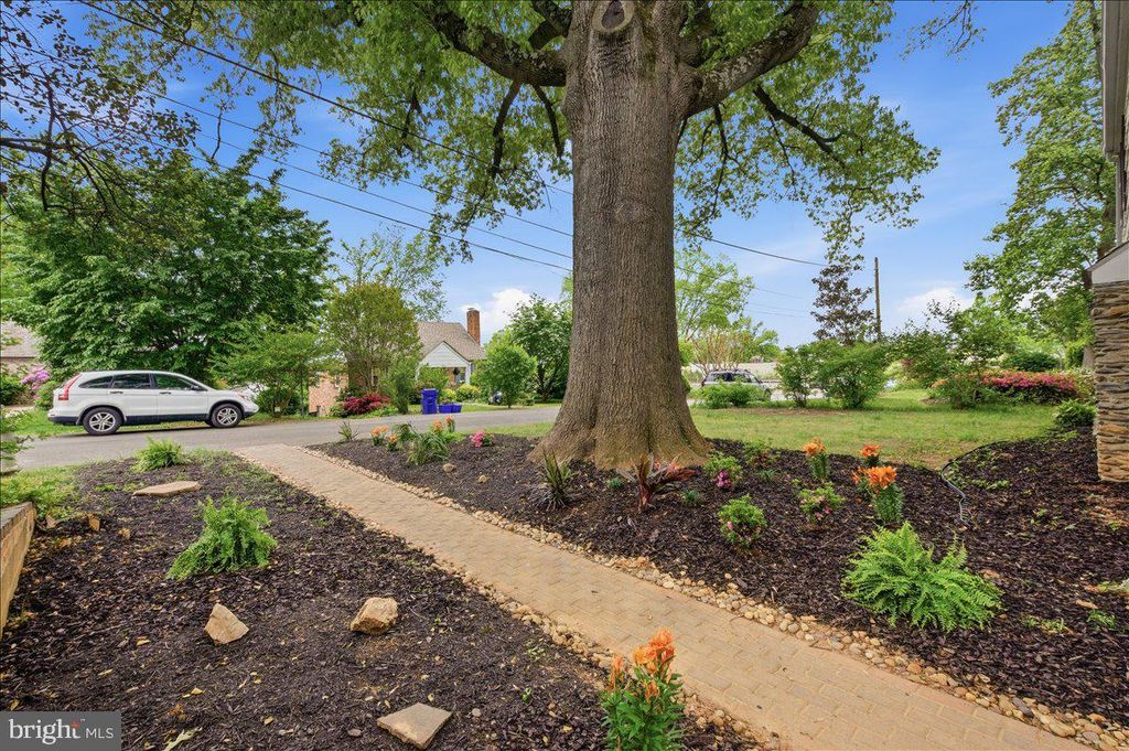 Image 6 of property listing at 1613 N SPRINGWOOD DR N, Silver Spring, MD 20910