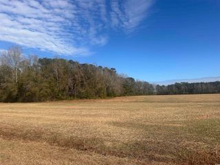SE Elvington Rd., Nichols, SC 29581
