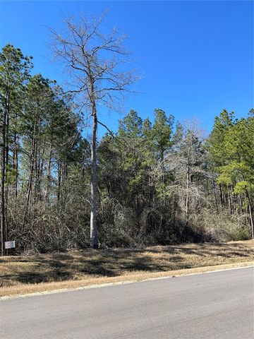 341 Exploration Road, Willis, TX 77378