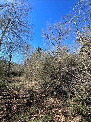 341 Exploration Road, Willis, TX 77378