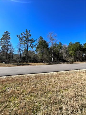 341 Exploration Road, Willis, TX 77378