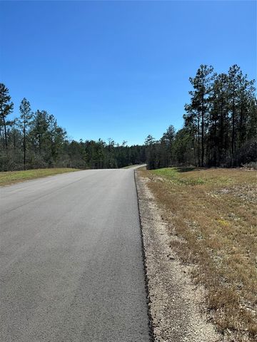 341 Exploration Road, Willis, TX 77378