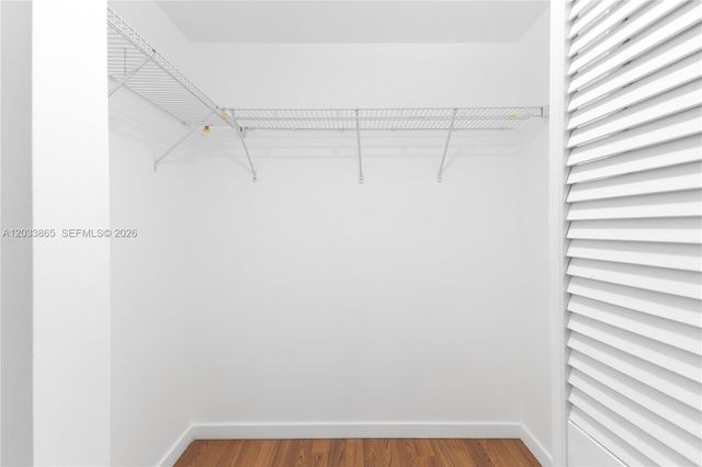 333 NE 24th Street 1712, Miami, FL 33137