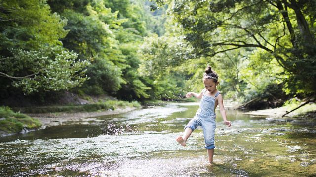 312 Foxfire CV, Lockhart, TX 78644