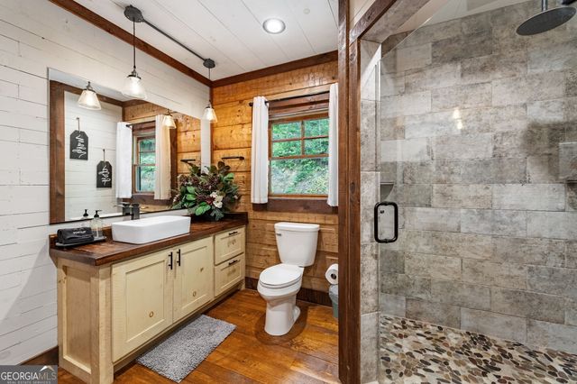 215 Twin Creeks, Blue Ridge, GA 30513
