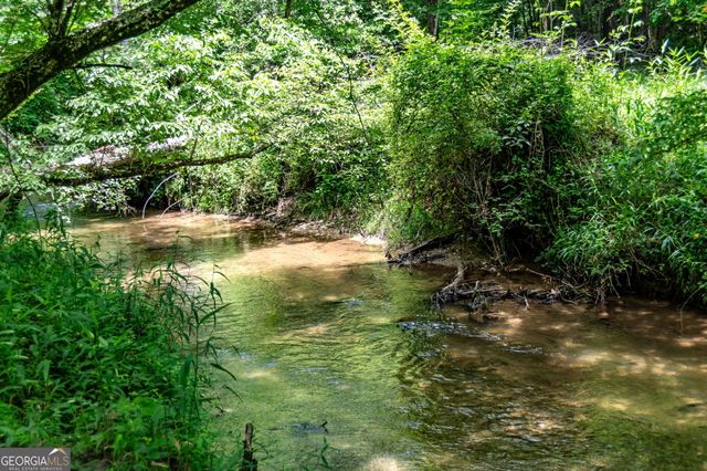 215 Twin Creeks, Blue Ridge, GA 30513