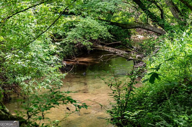 215 Twin Creeks, Blue Ridge, GA 30513