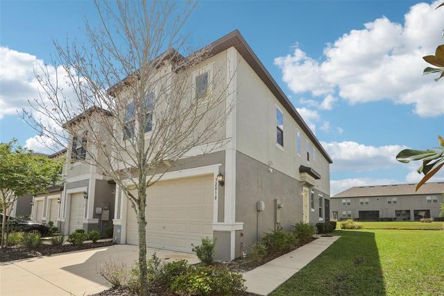 32010 BLUE PASSING LOOP, Wesley Chapel, FL 33545