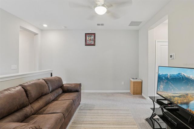 32010 BLUE PASSING LOOP, Wesley Chapel, FL 33545