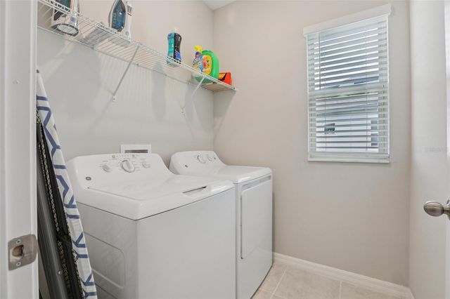 32010 BLUE PASSING LOOP, Wesley Chapel, FL 33545