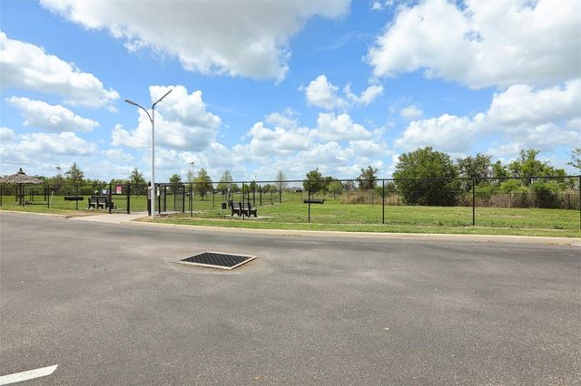 32010 BLUE PASSING LOOP, Wesley Chapel, FL 33545