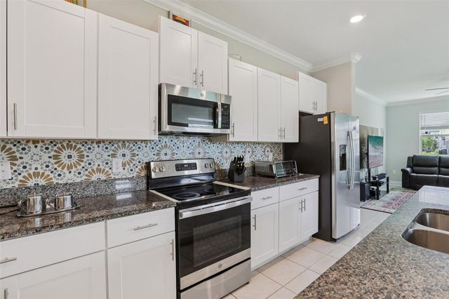 32010 BLUE PASSING LOOP, Wesley Chapel, FL 33545