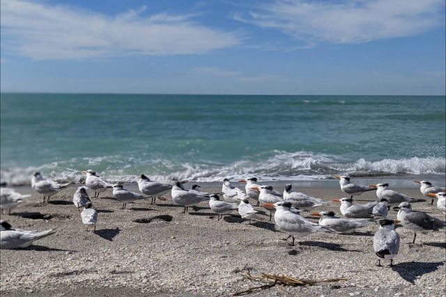 4262 VICENZA DRIVE B38, Venice, FL 34293