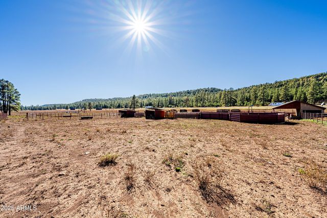 17xx4 E Forest Service 772 Lane -, Munds Park, AZ 86017