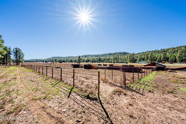 17xx4 E Forest Service 772 Lane -, Munds Park, AZ 86017