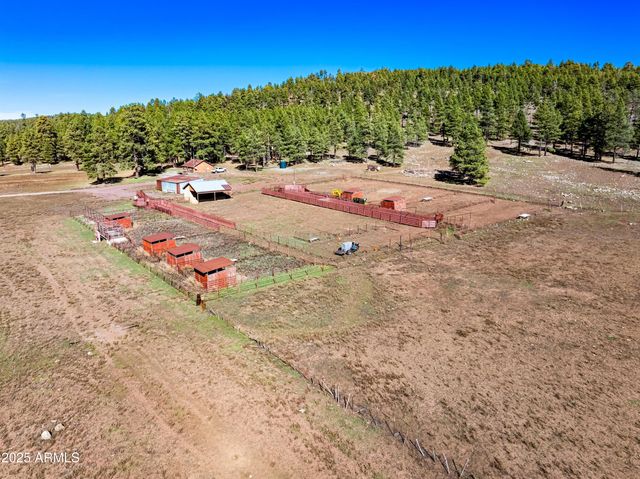 17xx4 E Forest Service 772 Lane -, Munds Park, AZ 86017