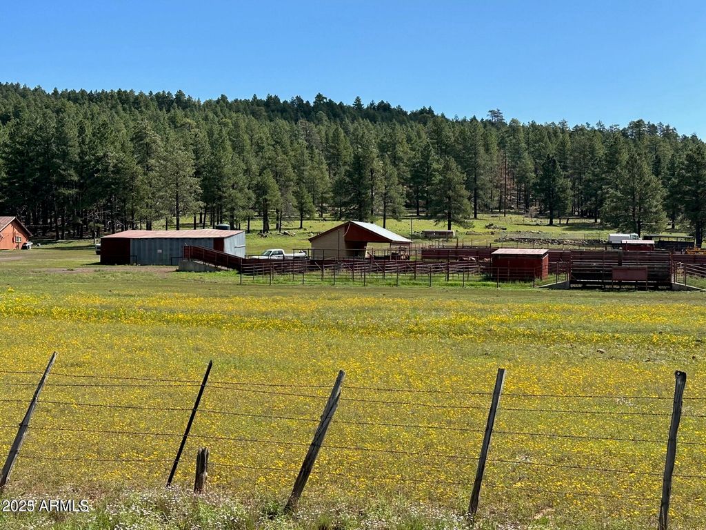 17xx4 E Forest Service 772 Lane -, Munds Park, AZ 86017