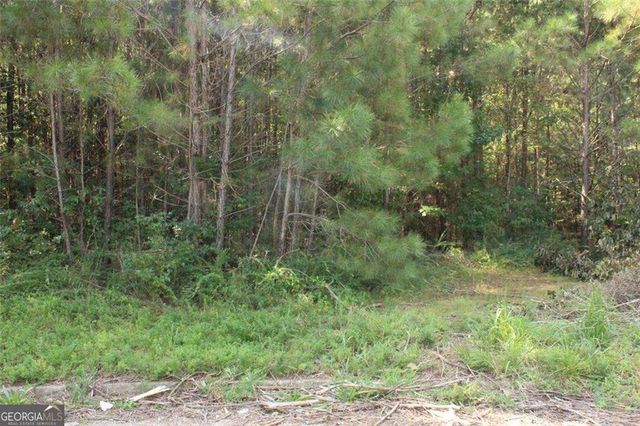 7728 Cheviot Drive, Winston, GA 30187