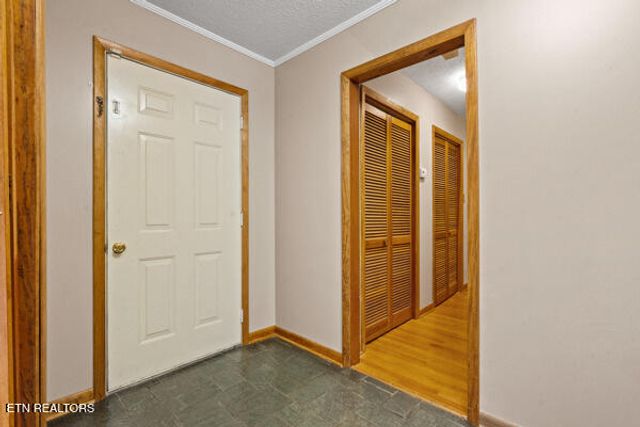 253 BurkeMill Rd, Rockwood, TN 37854