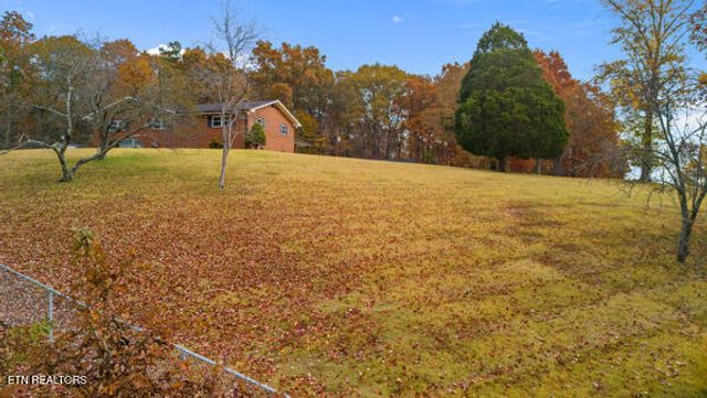 253 BurkeMill Rd, Rockwood, TN 37854