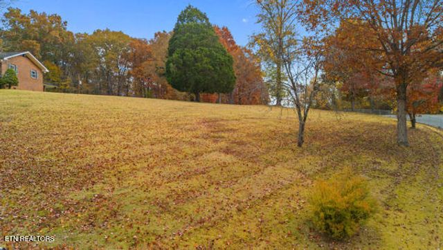 253 BurkeMill Rd, Rockwood, TN 37854