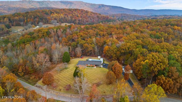 253 BurkeMill Rd, Rockwood, TN 37854